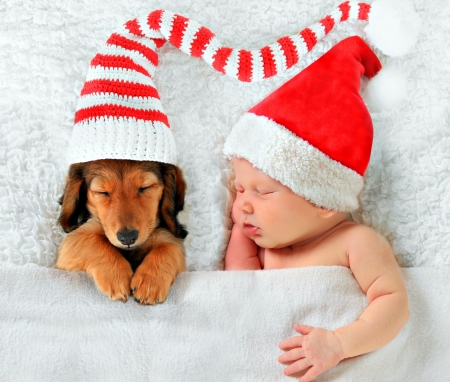 Waiting for Santa - hat, dog, copil, baby, sweet, child, christmas, boy, santa, animal, sleep, craciun, red, cute, caine, puppy