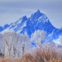 grand teton national park in frost