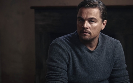 Leonardo DiCaprio - actor, leonardo dicaprio, male, man