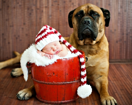 Waiting for Santa - hat, dog, copil, baby, child, christmas, santa, white, animal, sleep, craciun, red, cute