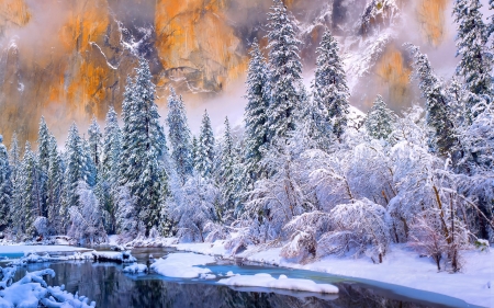  Winter - Winter, Snow, Tree, nature