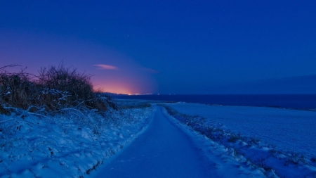 Blue winter - winter, nature, night, road