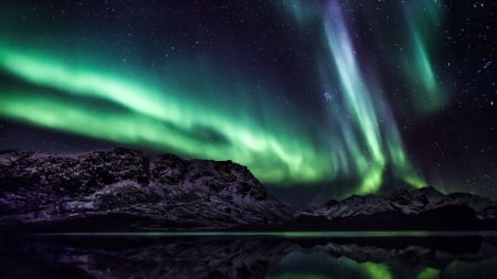 Aurora borealis - nature, sky, aurora, lights