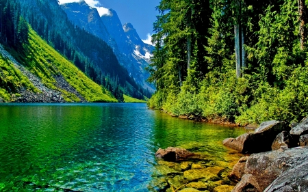 Lake Mountain - nature, lake, landscape, trees, mountain, forest