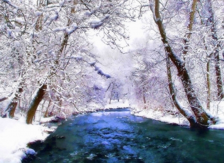 Winter White - trees, winter, attractions in dreams, pond, creative pre-made, snow, holidays, xmas and new year, love four seasons