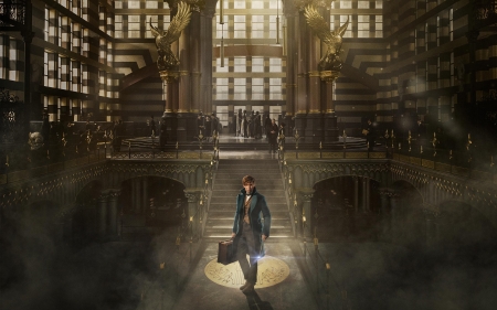 fantastic beasts and where to find them - hall, man, window, building