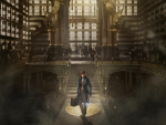 fantastic beasts and where to find them