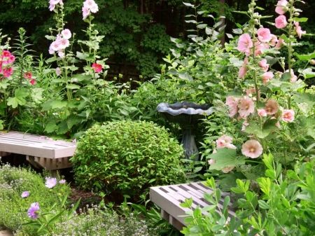 garden yard - flowers, nature, garden, green, yard