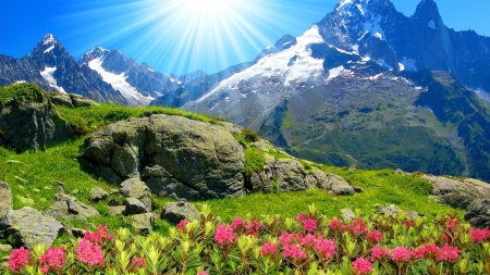 Beautiful Scenery - flowers, sky, nature, mountain