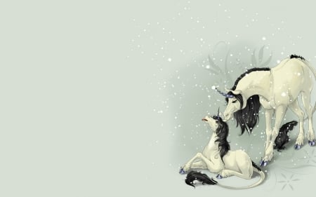 Unicorns - black, fantasy, white, unicorn, horse