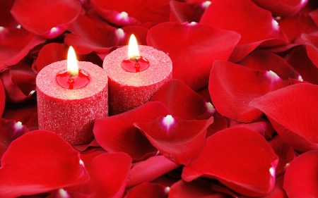 Happy Valentine's Day! - red, candle, rose, petals, valentine