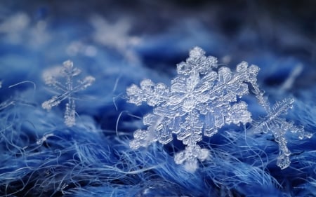 Snowflakes - ice, winter, snowflake, blue