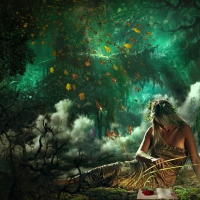 The enchanted forest