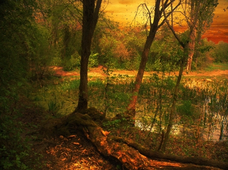 autumn - nature, lake, autumn, sunset, colors