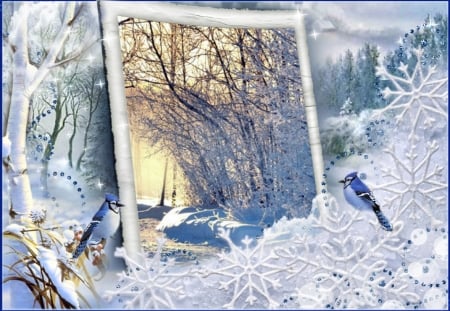 morning sun rise - snow, blue birds, snow on the tress, winter sun rise