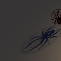 Spider Logo