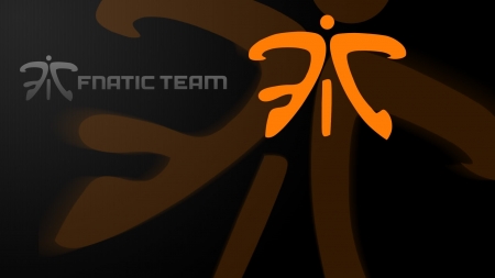 fnatic - sports, fps, team, fnatic