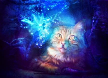 Dewdrop fairy - cat, wings, pisica, fantasy, dewdrop fairy, luminos, blue, animal, fairy, tamarar