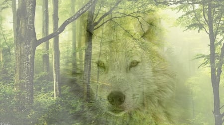 Wolf Enchanted Forest - wolf, overflay, lobo, collage, trees, forest, green, spring