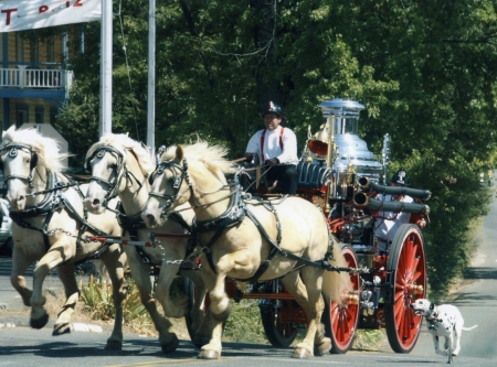 Gold Rush Days Fire Brigade - street, alarm, vintage, cart, dog