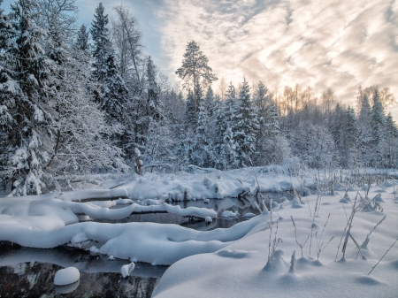 winter's day - rivrr, forest, trees, snow, winter