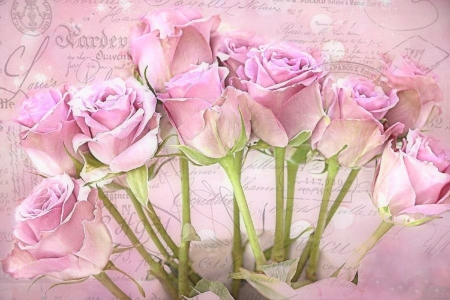 Pink Impression - love, roses, love four seasons, valentines, romantic, pink, pastel, holiday, flowers, beloved valentines