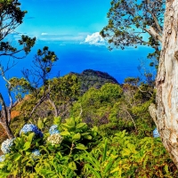 Beautiful Lookout to the Sea