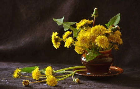 Still Life - flowers, still life, yellow, bloom