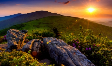 Mountain sunset - amazing, beautiful, valley, mountain, flowers, glow, sunset, rays, plants, sky