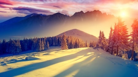 Winter landscape - sky, mountain, trees, landscape, winter, colorful, ski, mist, amazing, snow, beautiful, frost