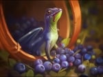 Blueberries dragon