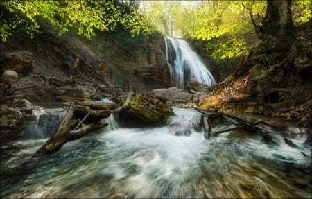 waterfall - nature, tree, waterfall, spring