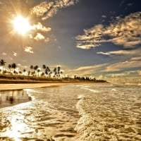 golden tide reaching the sandy shore