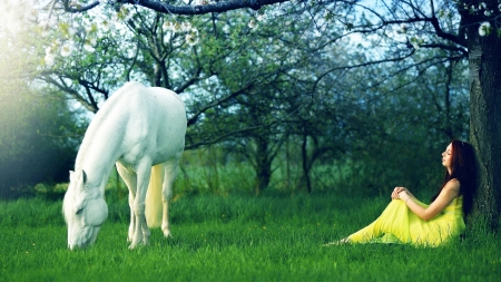 New Day - horse, animal, model, woman, grass