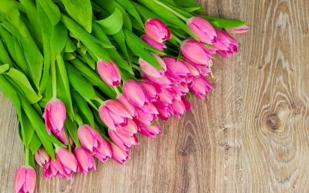 Happy Spring! - wood, green, card, tulip, bouquet, flower, spring