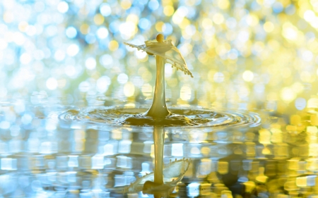 Water angel - drop, bokeh, water, yellow, blue, angel, luminos