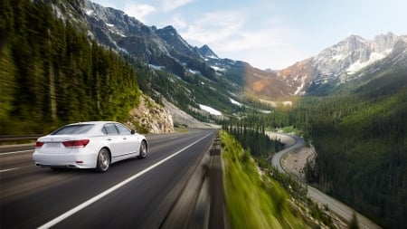 lexus ls - lexus, grass, tree, moutain