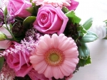 Pink Gerbera and Roses