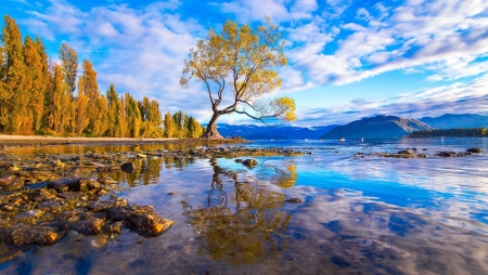 Autumn Riverside - clouds, fall, trees, water, colors