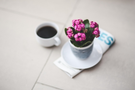 Still Life - drink, coffee, flowers, still life, cup