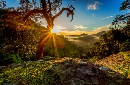 Morning rays - rays, morning, valley, sky, mountain, trees, sunlight, shine, glow, beautiful, sunrise