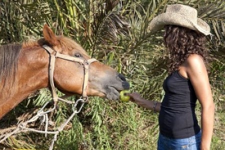 Fetch Boy...... - women, fun, female, hats, fashion, models, brunettes, western, girls, cowgirls, style, horses