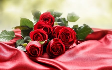 Happy Valentine's Day! - red, silk, rose, valentine, green