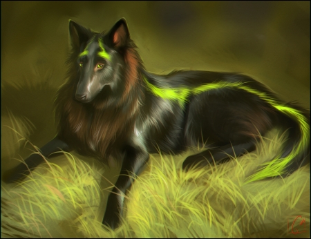 Vihrea - black, vihrea, fantasy, animal, gaudibuendia, green, dog, art