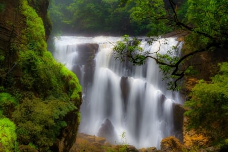 waterfalls - tree, nature, water, falls