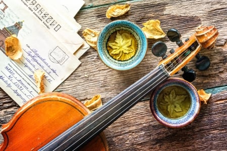 Still Life - cups, violin, postcard, petals, still life