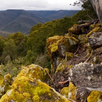 Barrington Tops National Park New South Wales