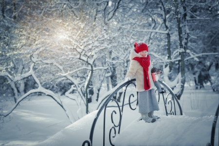 Winter Beauty - winter, winter time, nature, snowy, girl, snow, beauty, bridge