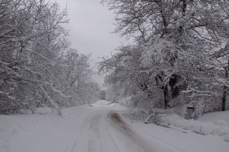 On the Road Again... - snow, road, winter, nature