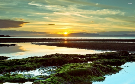 Mossy Swamp at Sunset - clouds, swamp, sunset, nature, mossy